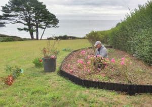 Projet de jardin terminé par DIM Jardins à Irvillac